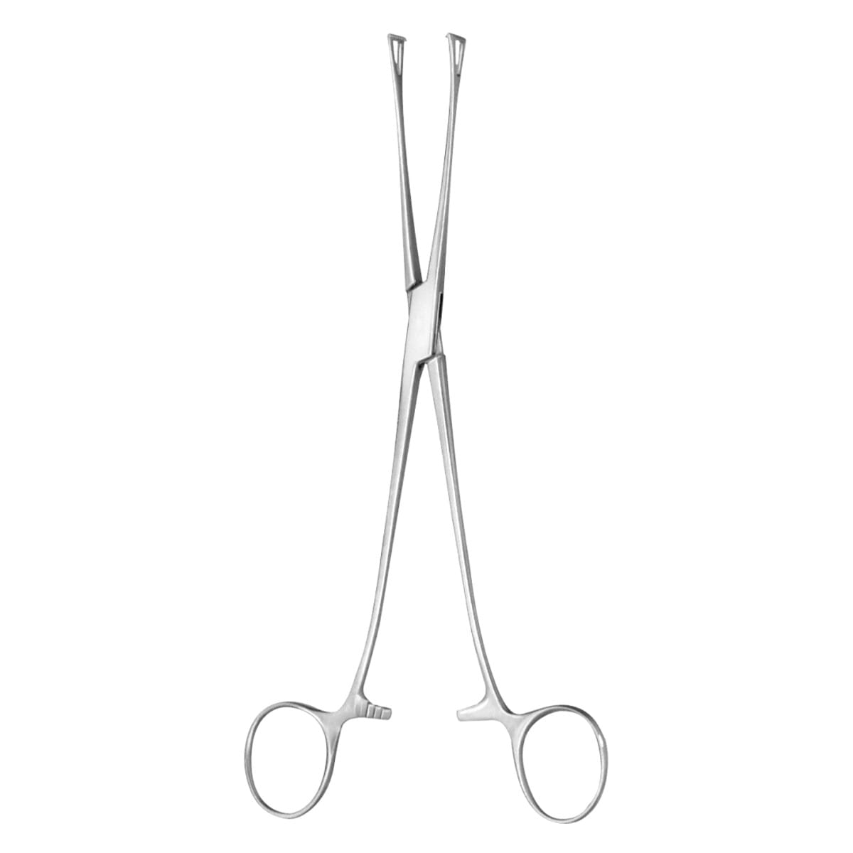 LOCKWOOD, Darm Faß Zange gefen., 20 cm 64.146.20 – Dewimed Medizintechnik GmbH, Chirurgische Pinzetten