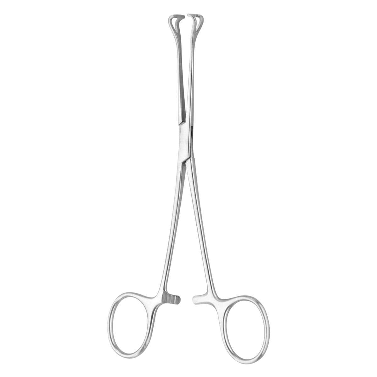 BABCOCK, Darm für Zaengchen, 16 cm 1 x 2 Zähne 64.160.16 – Dewimed Medizintechnik GmbH, Chirurgische Pinzetten