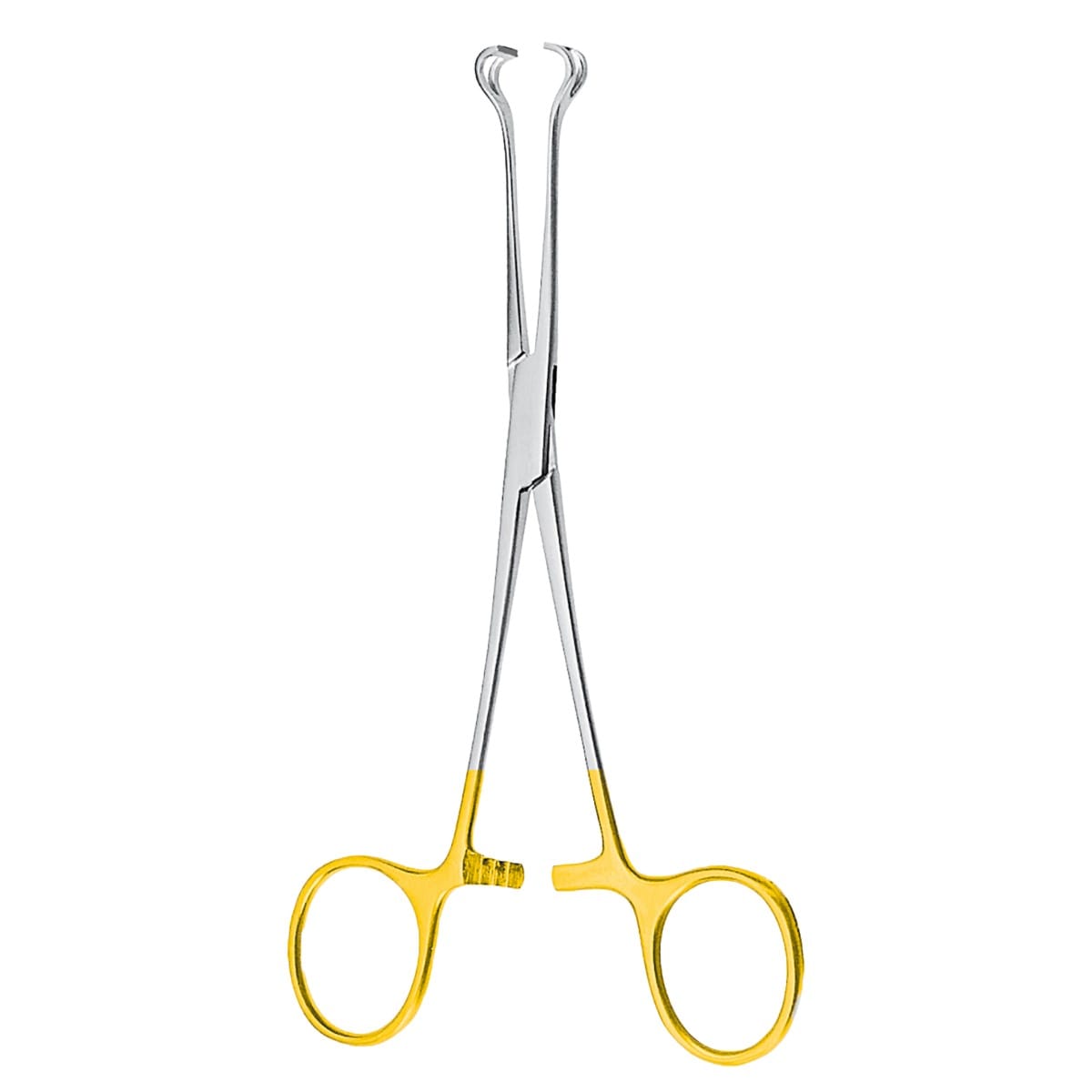 BABCOCK, Darm für Zaengchen, 16 cm TC 6 x 2 Zähne 64.164.16 – Dewimed Medizintechnik GmbH, Chirurgische Pinzetten