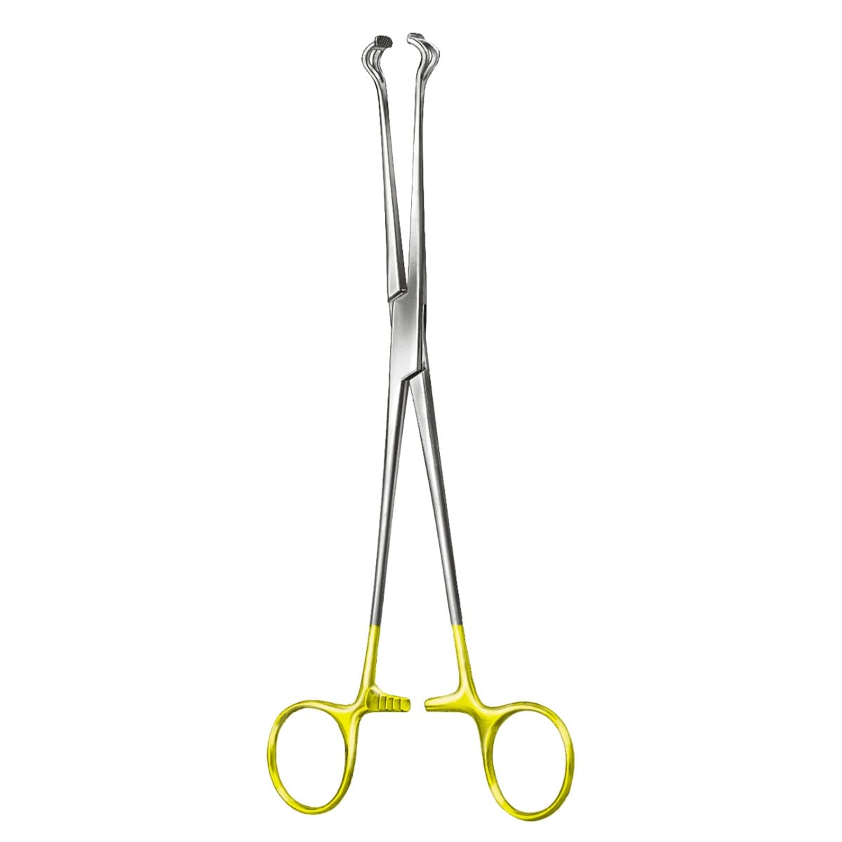 BABCOCK, Darm für Zaengchen, 20 cm TC 7 x 2 Zähne 64.164.20 – Dewimed Medizintechnik GmbH, Chirurgische Pinzetten