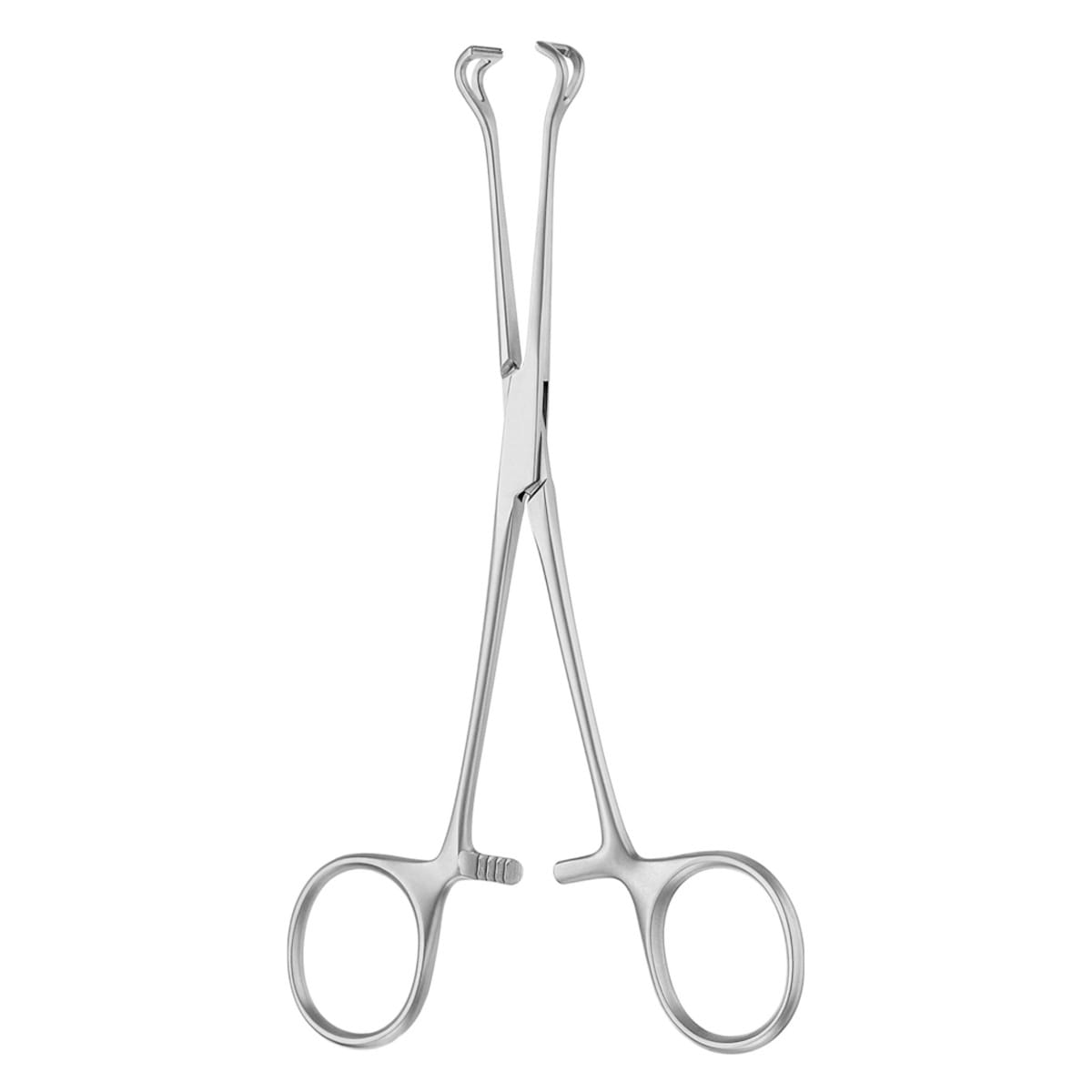 BABCOCK, Zaengchen, 16 cm atraumit 1 x 2 Zähne 64.168.16 – Dewimed Medizintechnik GmbH, Chirurgische Pinzetten