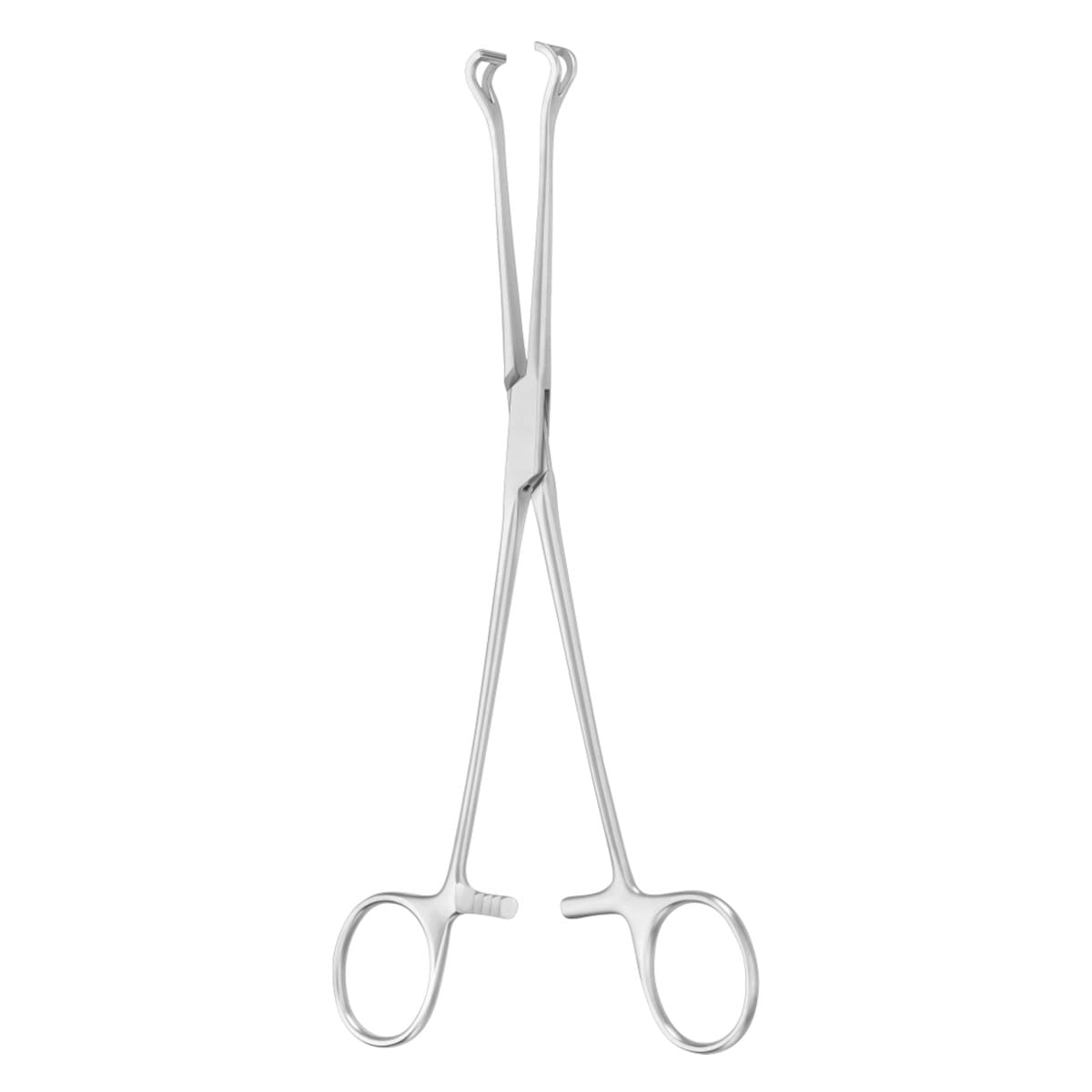 BABCOCK, Zaengchen, 21 cm atraumit 2 x 2 Zähne 64.168.20 – Dewimed Medizintechnik GmbH, Chirurgische Pinzetten