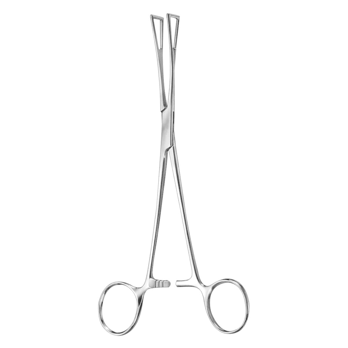 DUVAL, Fass Zaengchen, 18 cm 13 mm 64.170.18 – Dewimed Medizintechnik GmbH, Chirurgische Pinzetten
