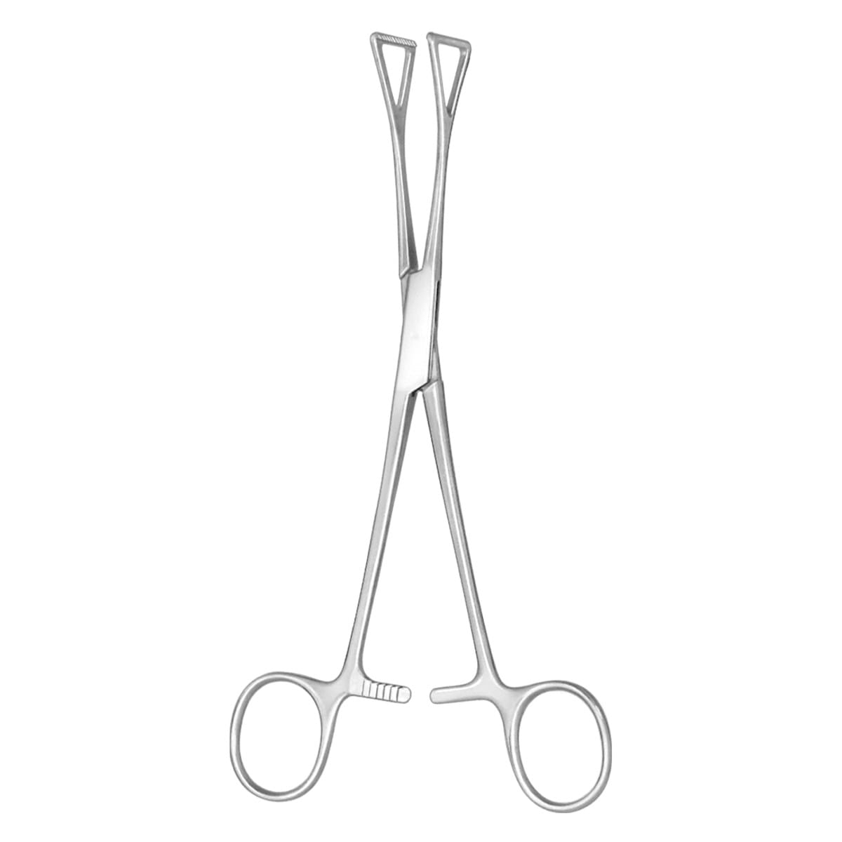 DUVAL, Fass Zaengchen, 20 cm 25 mm 64.172.20 – Dewimed Medizintechnik GmbH, Chirurgische Pinzetten