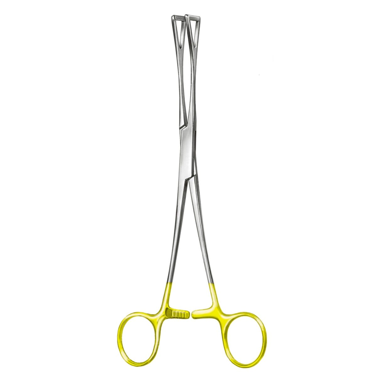 DUVAL, Fass Zaengchen, 20 cm TC 4 x 2 Zähne 64.174.20 – Dewimed Medizintechnik GmbH, Sonstige chirurgische Instrumente
