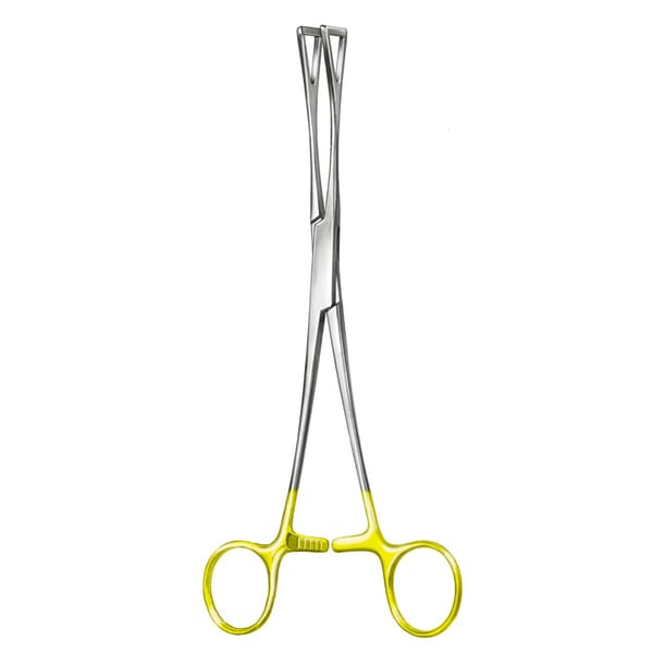 DUVAL, Fass Zaengchen, 20 cm TC 4 x 2 Zähne 64.174.20