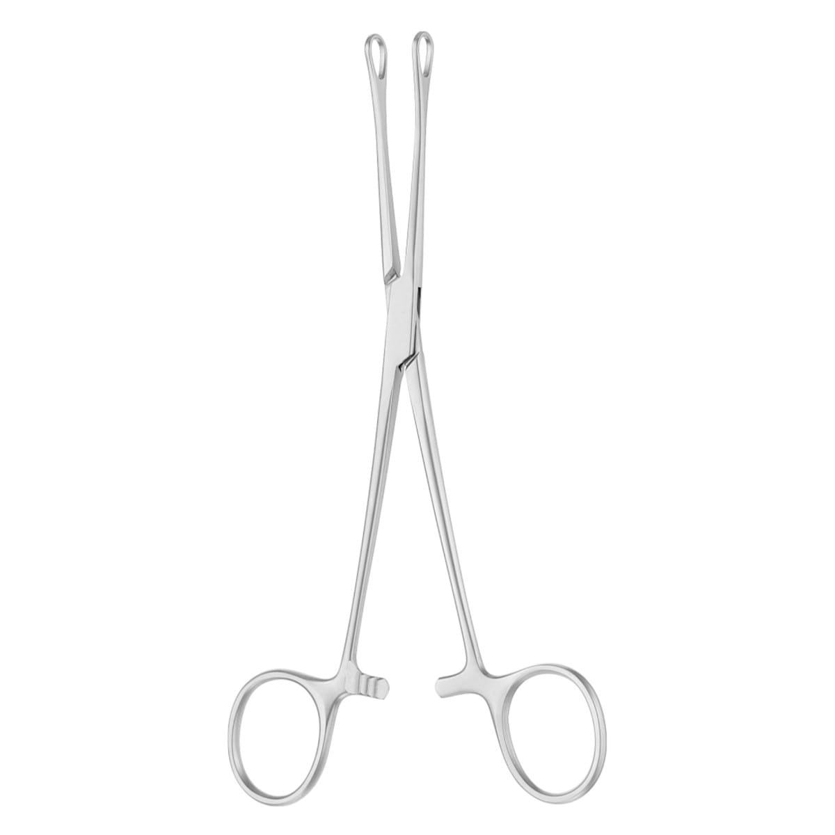 WILLIAMS, Fass Zaengchen, 16,5 cm 1 x 2 Zähne 64.180.16 – Dewimed Medizintechnik GmbH, Sonstige chirurgische Instrumente