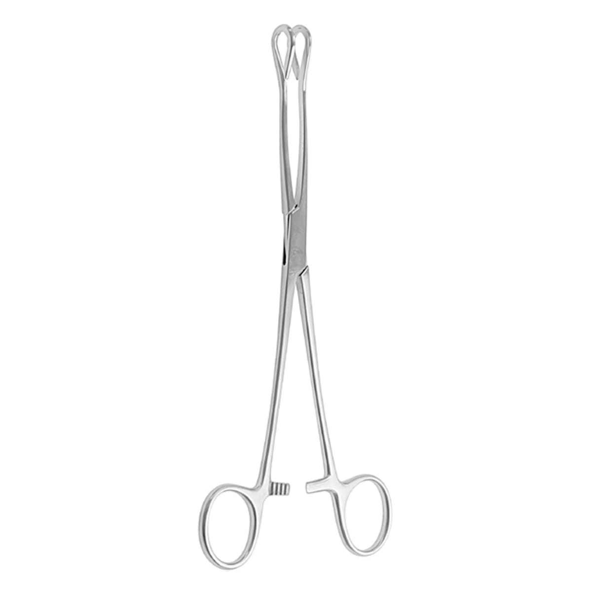 SCHOENBURG, Fass Zange, 22 cm 64.182.22 – Dewimed Medizintechnik GmbH, Sonstige chirurgische Instrumente