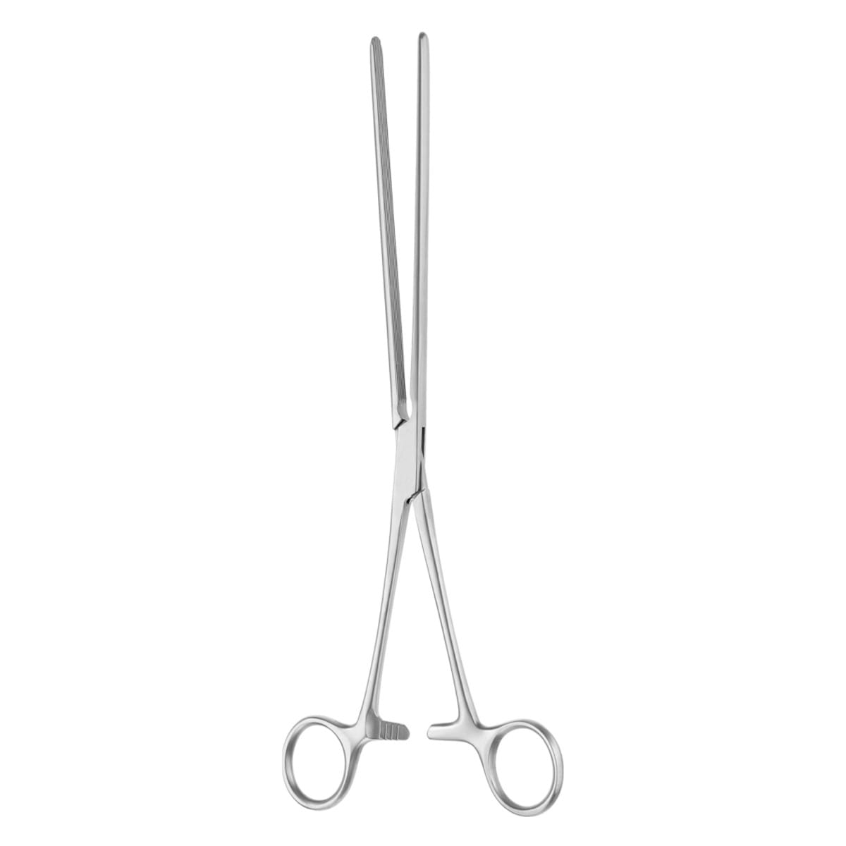 MAYO, Darm Klemme, 25 cm 2 x 2 Zähne 64.230.25 – Dewimed Medizintechnik GmbH, Sonstige chirurgische Instrumente
