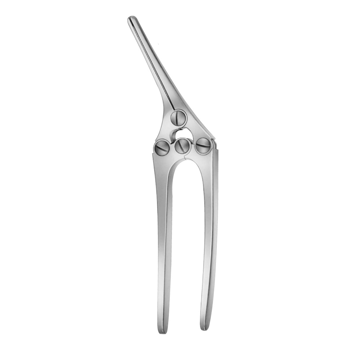 PAYR, Quetsch Klemme, 21 cm mit Stift 2 x 2 Zähne 64.310.21 – Dewimed Medizintechnik GmbH, Sonstige chirurgische Instrumente