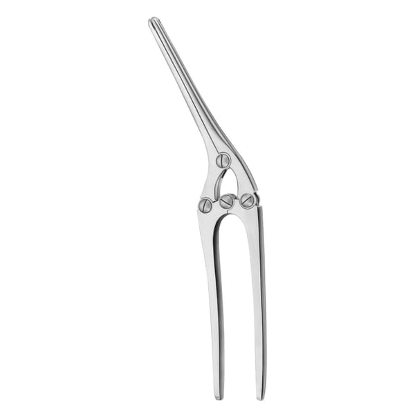 PAYR, Quetsch Klemme, 29 cm mit Stift 2 x 2 Zähne 64.310.29