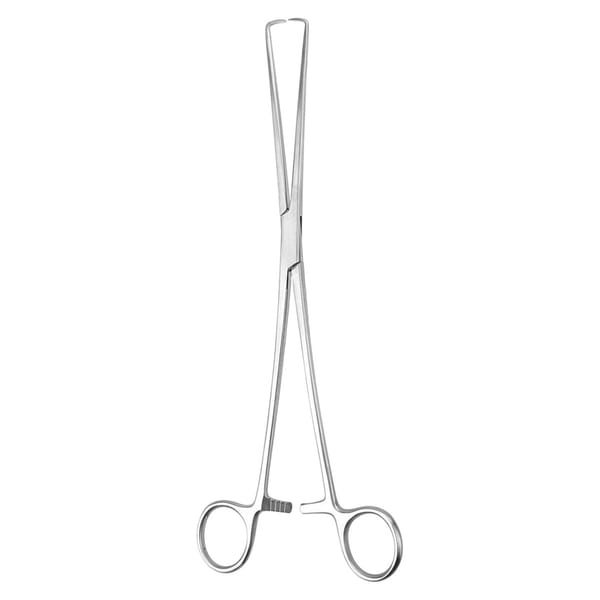 BRAUN, Haken Zange, 25 cm 2 x 2 Zähne 70.504.25