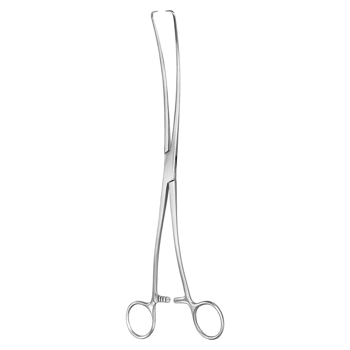DUPLAY, Haken Zange, 28 cm 70.507.28 – Dewimed Medizintechnik GmbH, Sonstige chirurgische Instrumente