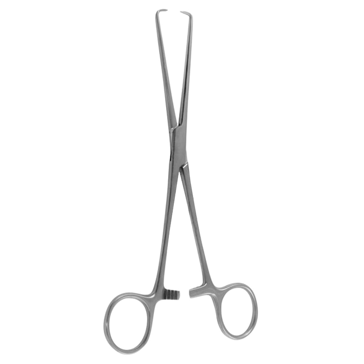 BARRETT, Haken Zange, 18 cm 1 x 2 Zähne 70.510.18 – Dewimed Medizintechnik GmbH, Sonstige chirurgische Instrumente