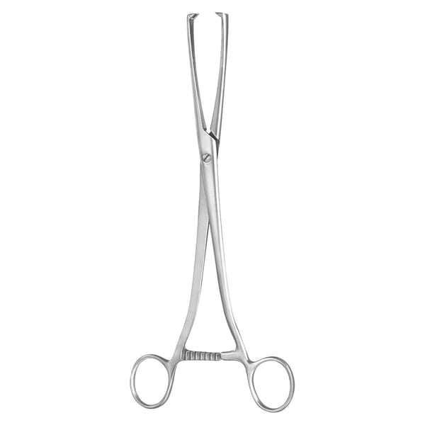 MUSEUX, Haken Zange, 10 mm 2×2 Zähne 0 x 2 Zähne 70.524.10