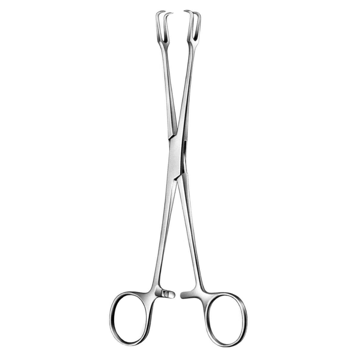 MUSEUX, Haken Zange, 10 mm breit 70.526.20 – Dewimed Medizintechnik GmbH, Chirurgische Pinzetten