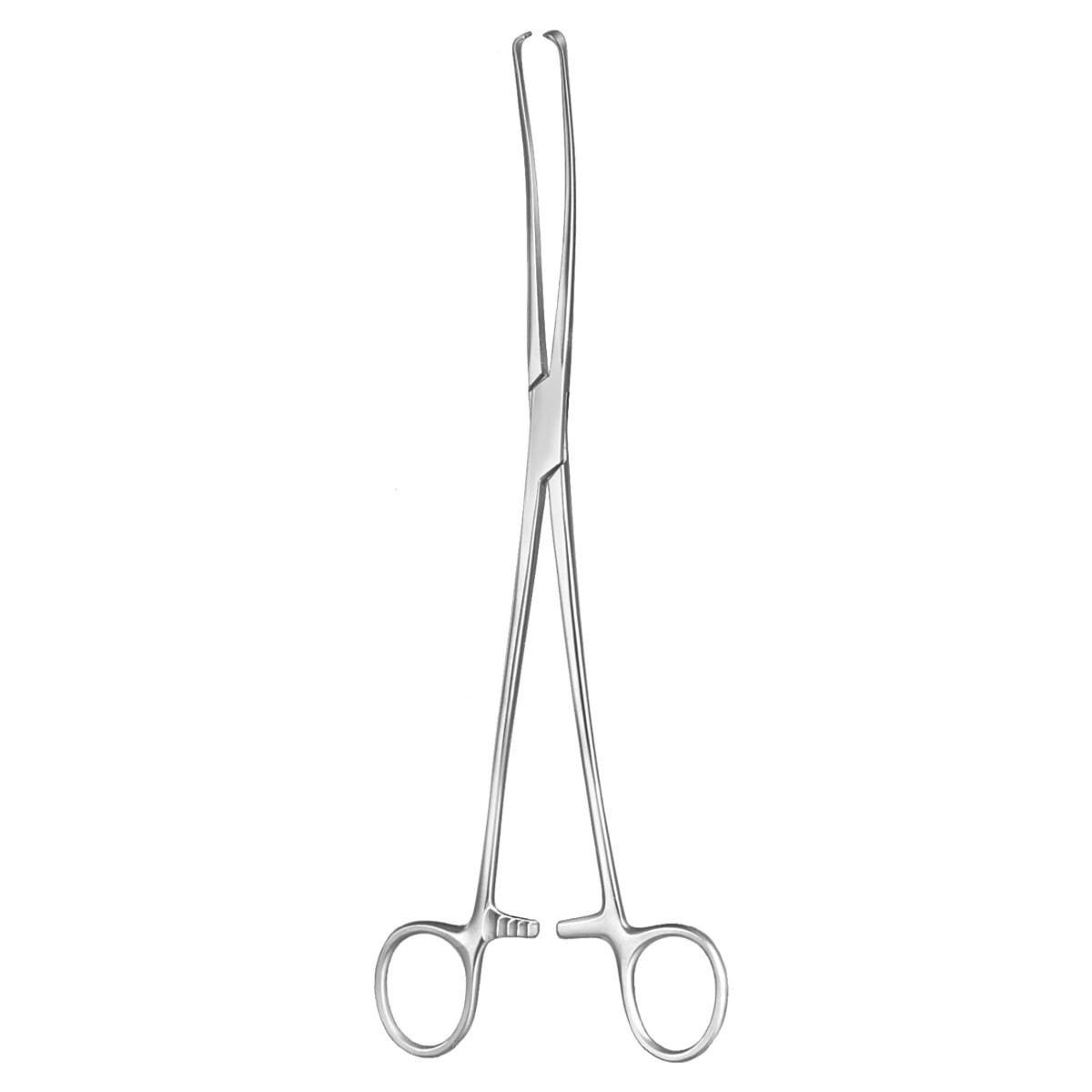IOWA, Haken Zange, 26 cm 2 x 2 Zähne 70.539.26 – Dewimed Medizintechnik GmbH, Chirurgische Pinzetten