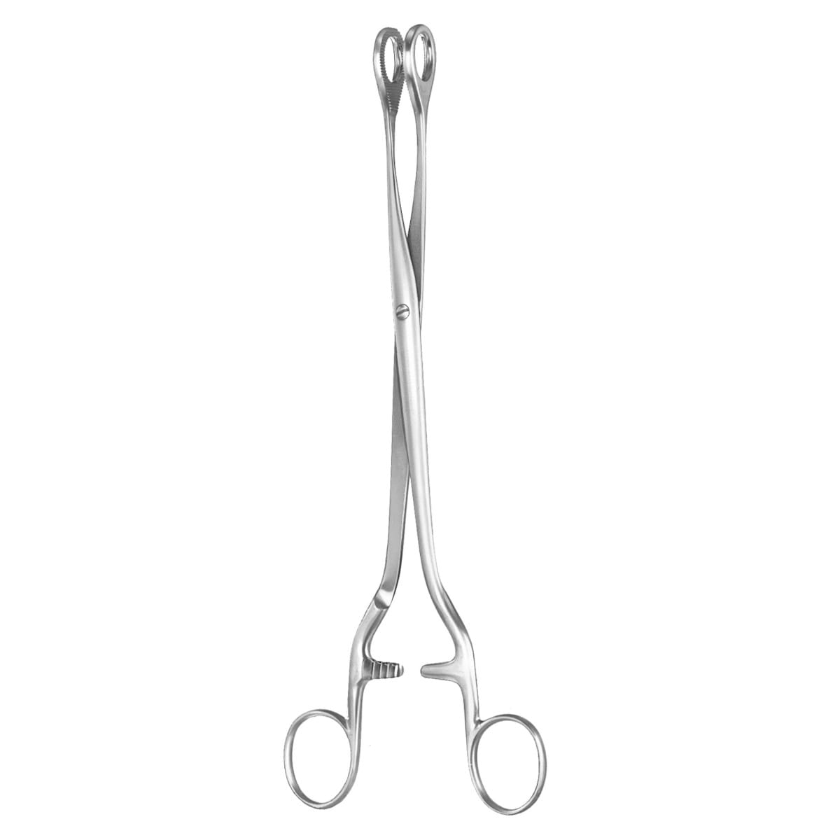 NOTO, Uterus Polypen Zange, 27 cm 2 x 2 Zähne 70.540.27 – Dewimed Medizintechnik GmbH, Sonstige chirurgische Instrumente