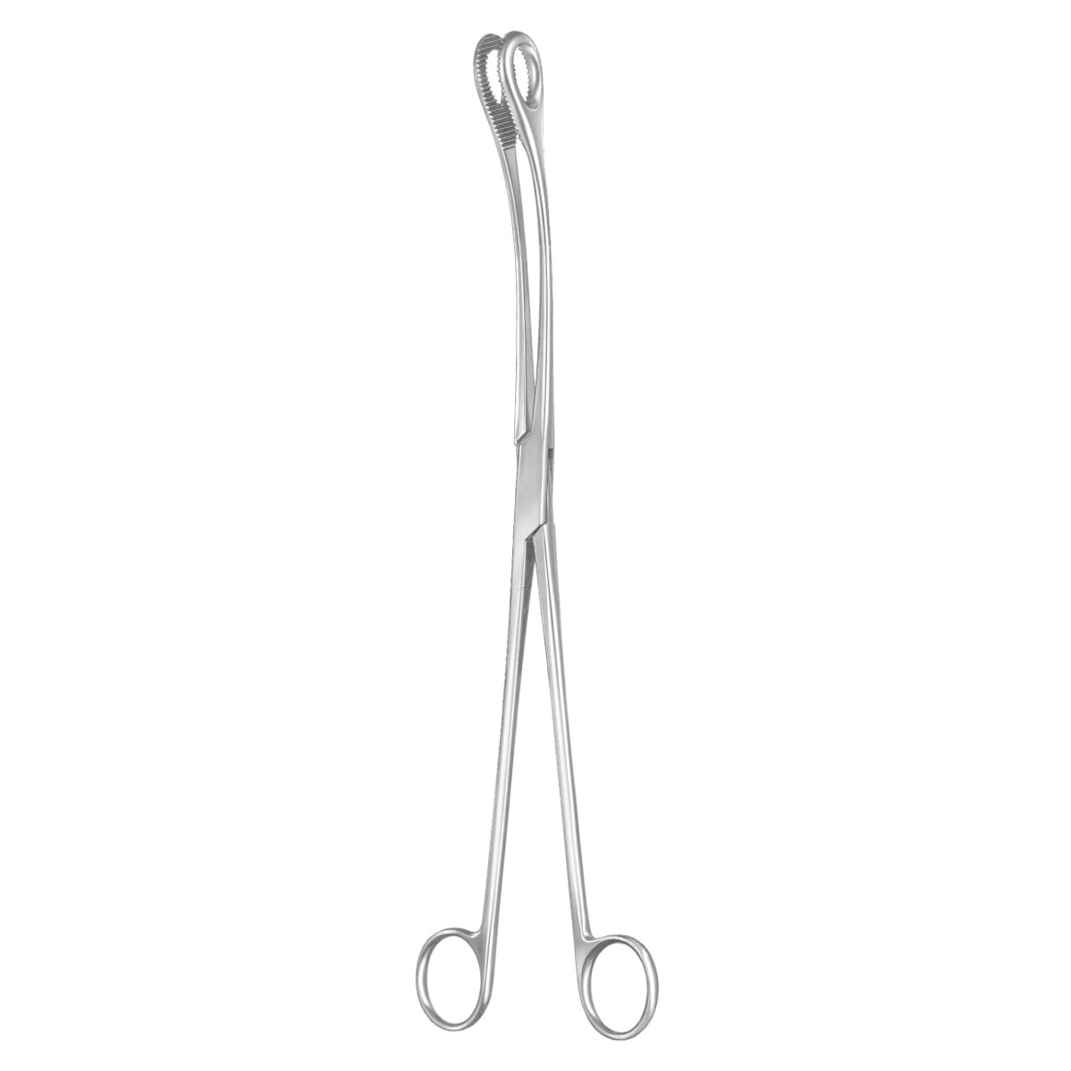 KELLY, Uterus Polypen Zange, 32 cm 3 x 2 Zähne 70.543.32 – Dewimed Medizintechnik GmbH, Sonstige chirurgische Instrumente
