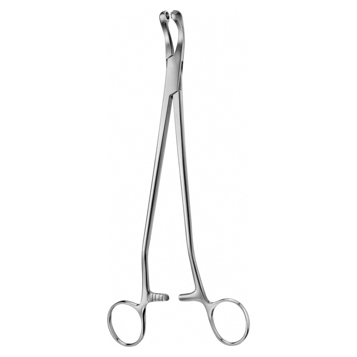 THOMS, GAYLOR Biopsie Zange, 1 x 2 Zähne 70.606.24 – Dewimed Medizintechnik GmbH, Sonstige chirurgische Instrumente