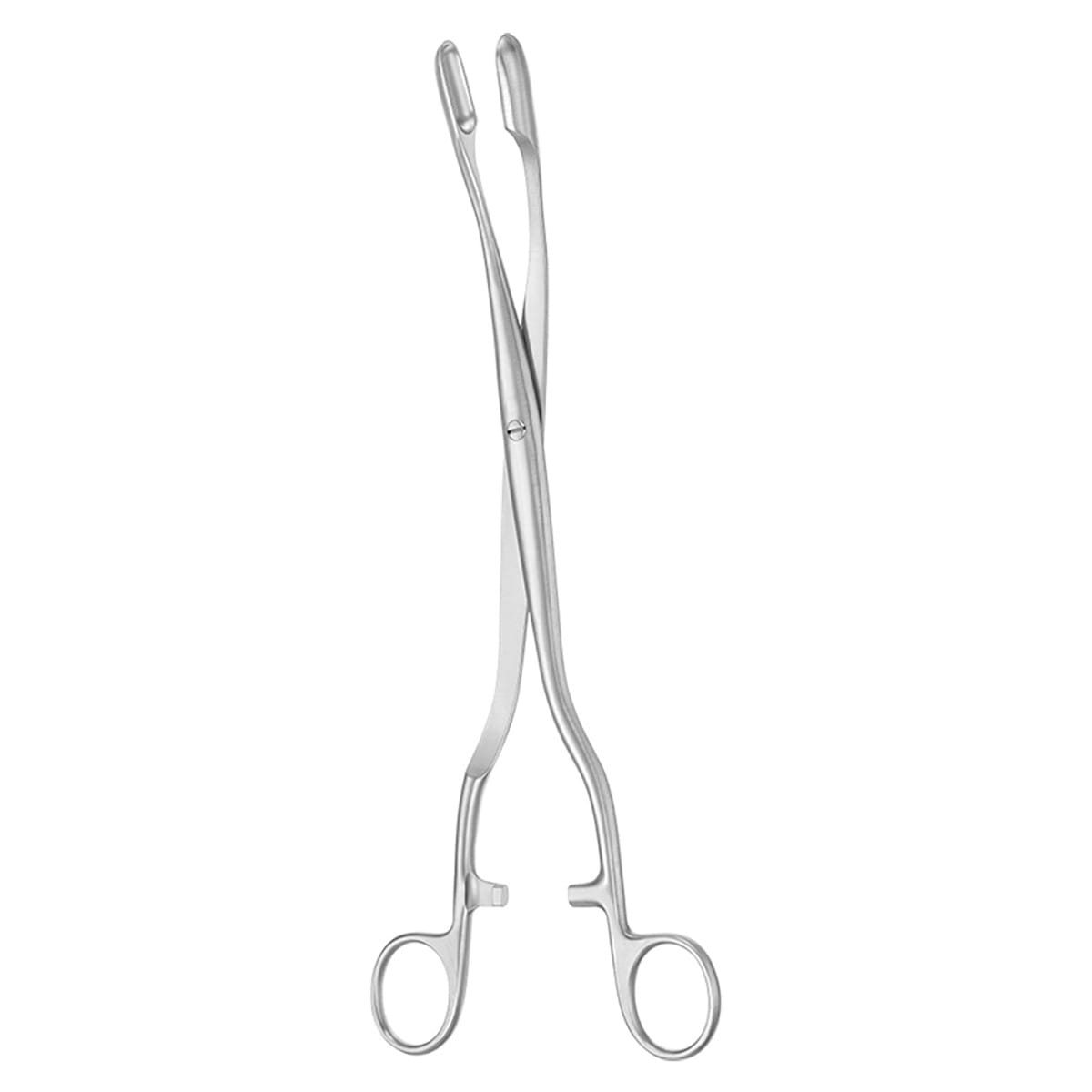 WINTER, Plazenta- und Abortuszange mit Sperre, 28 cm breite Fläche 72.247.03 – Dewimed Medizintechnik GmbH, Sonstige chirurgische Instrumente