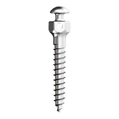 Orthodontic Mini Screws – EKSEN TECHNOLOGY (HK) LIMITED, Verankerungssysteme