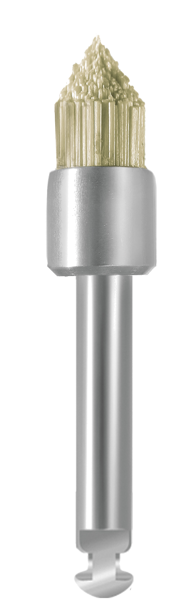 EVEBRUSH RA WS1 – EVE Ernst Vetter, Laborpolierer