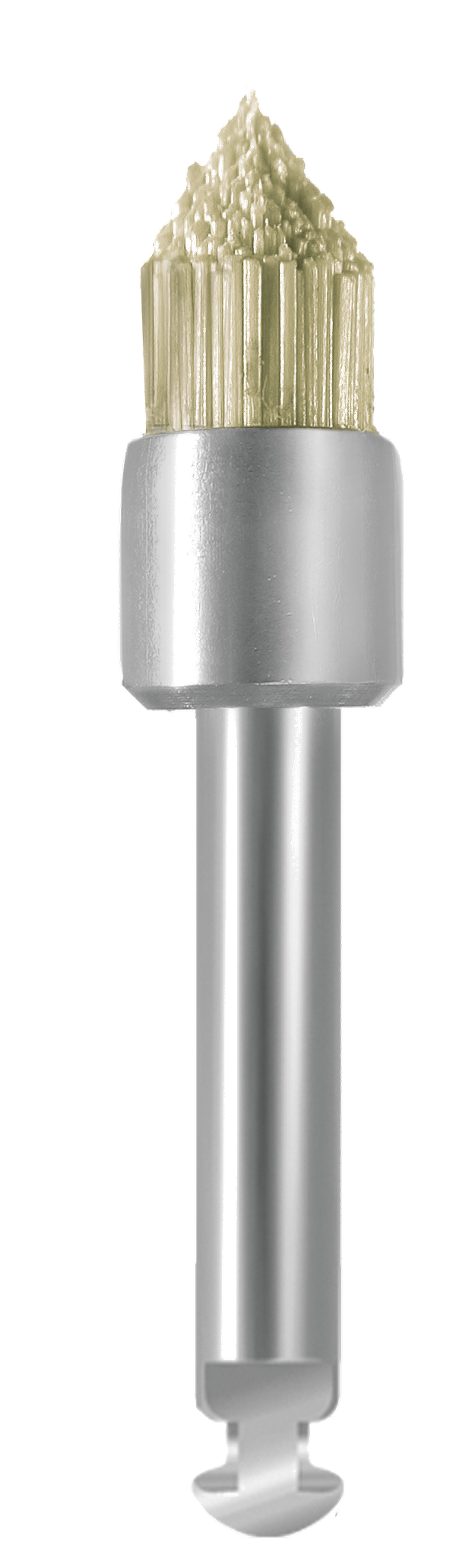 EVEBRUSH RA WS1