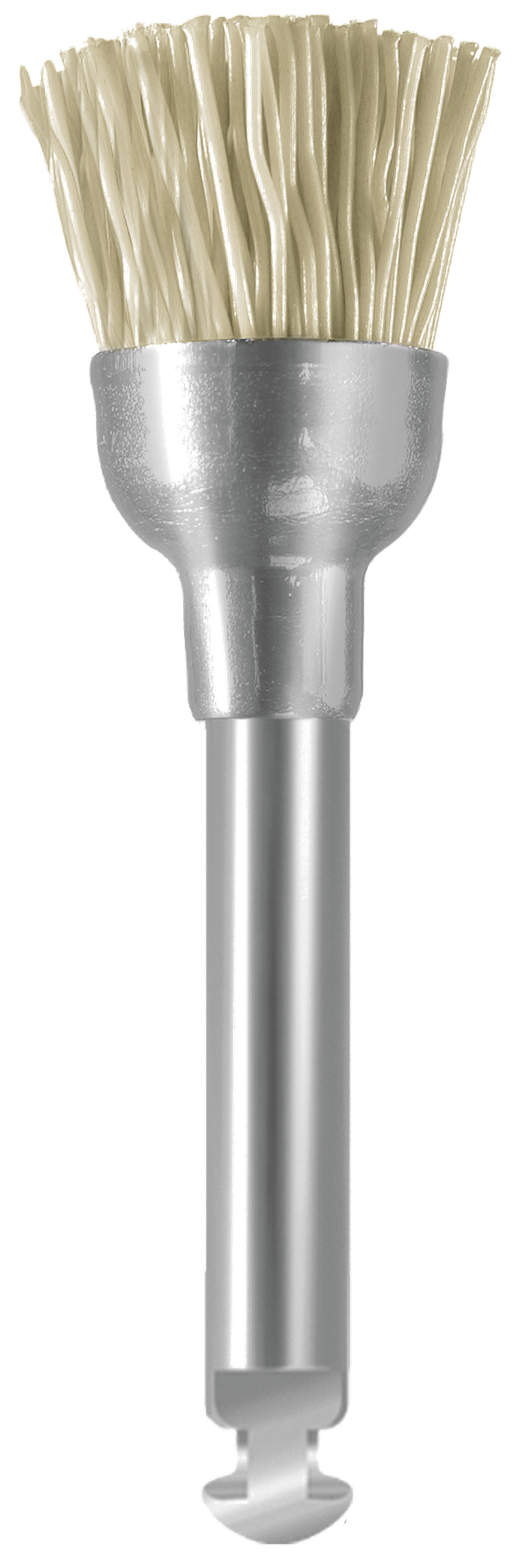 EVEBRUSH RA WT1