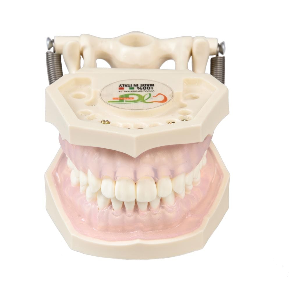 Dental Hygienist Exercise Templates – GF Dental di Ficuciello Antonino, Wurzelbehandlung