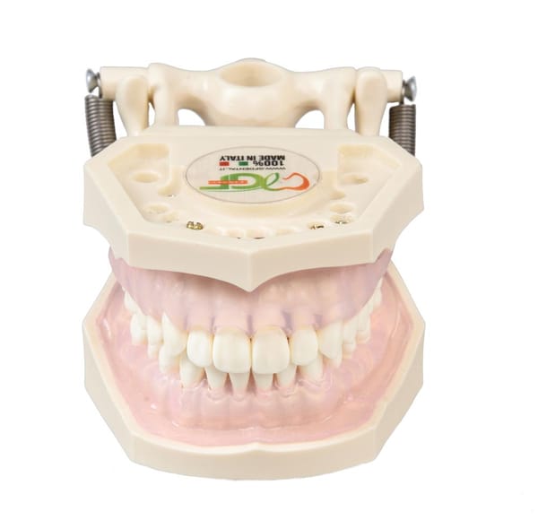 Dental Hygienist Exercise Templates