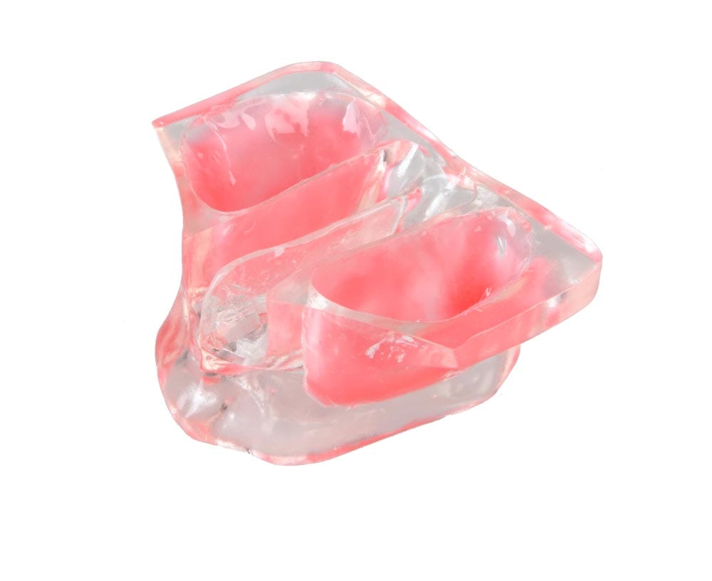 E20/N - Jaw model – GF Dental di Ficuciello Antonino, Gipszusätze, Stumpflacke und Gipslöser