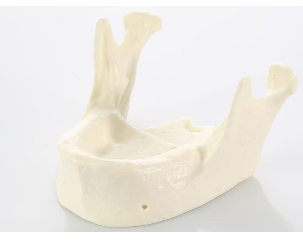 E22 – Kiefermodell aus synthetischem Knochenmaterial – GF Dental di Ficuciello Antonino, Gipszusätze, Stumpflacke und Gipslöser