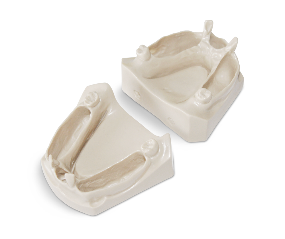 Exercise Models for Endodontics – GF Dental di Ficuciello Antonino, Wurzelbehandlung