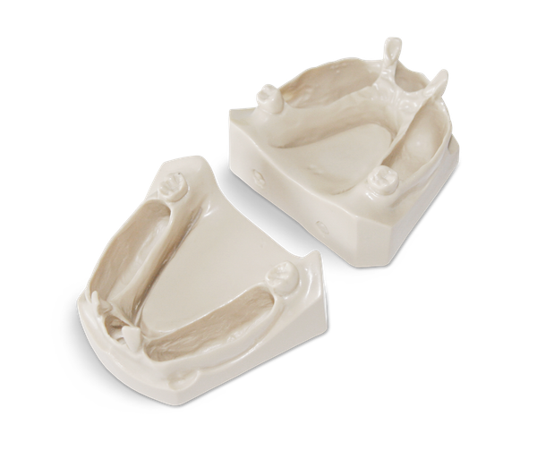 Exercise Models for Endodontics
