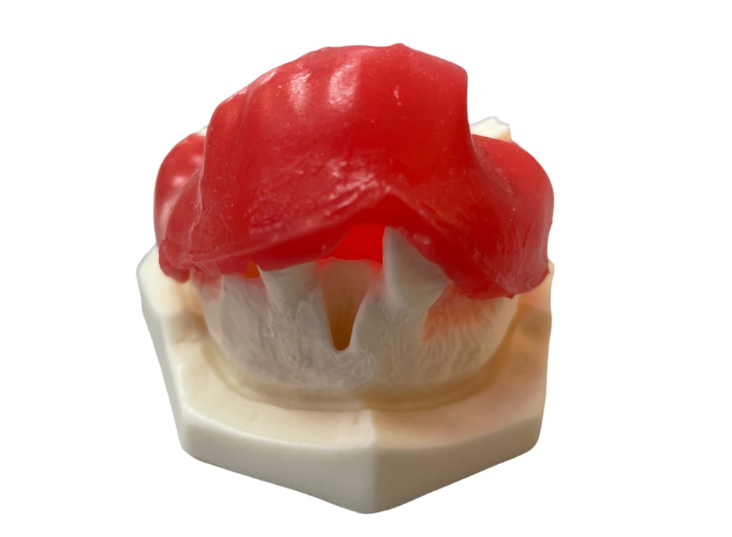 E37/G – Kiefermodell aus Kunststoff – GF Dental di Ficuciello Antonino, Gipszusätze, Stumpflacke und Gipslöser