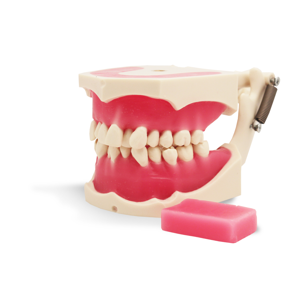 E40 – Kieferorthopädischer Simulator – GF Dental di Ficuciello Antonino, Sonstige Laborgeräte (Waagen, Wasserbäder, Gipsabscheider, Mikroskope)
