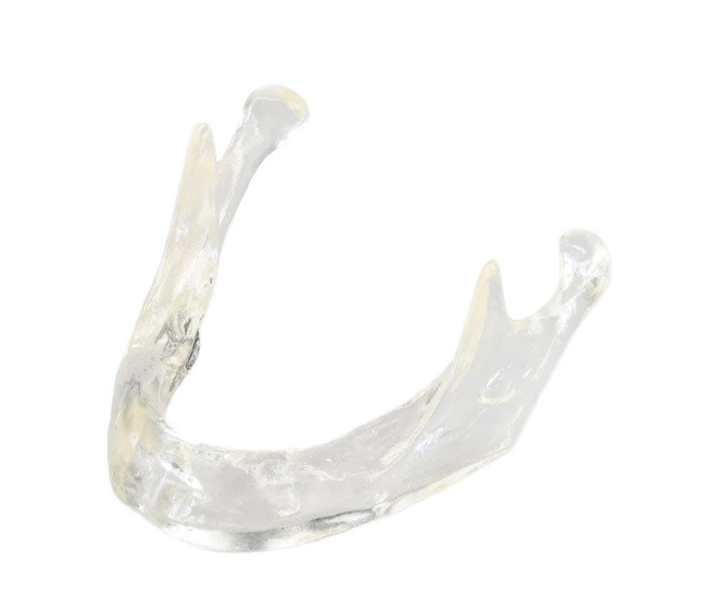 Transparent jaw model normal crest – GF Dental di Ficuciello Antonino, Gipszusätze, Stumpflacke und Gipslöser
