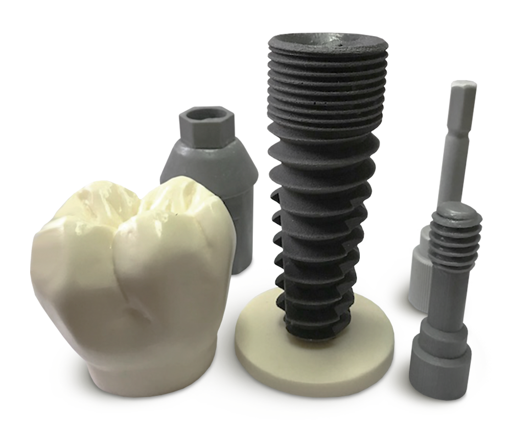 T07 Zahnimplantat-Demonstrationsmodell – GF Dental di Ficuciello Antonino, Demomodelle
