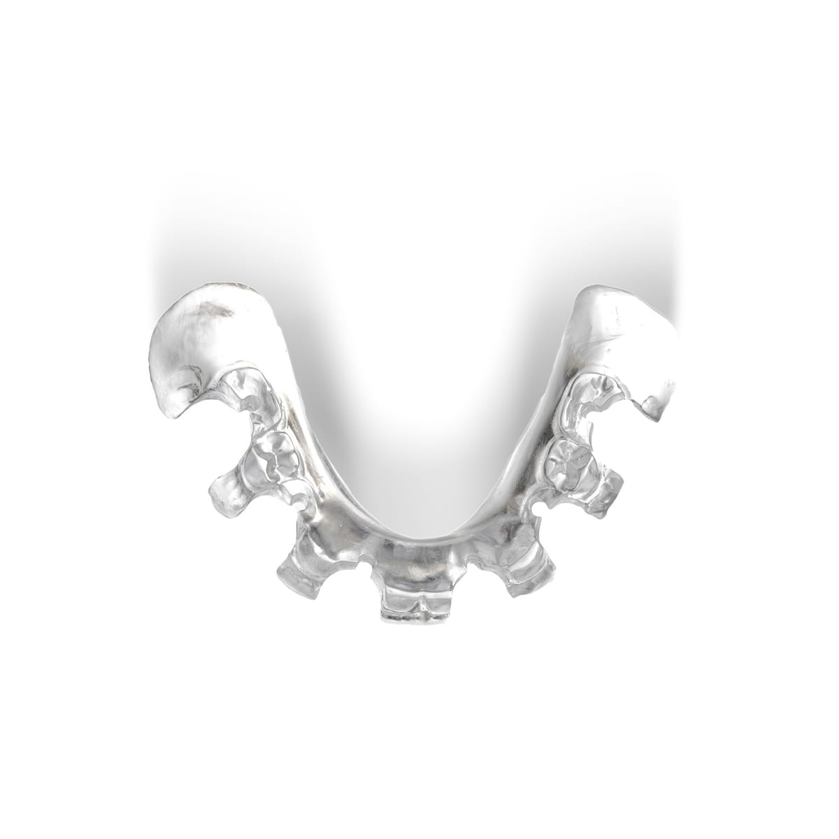 OP SCHABLONE MANDIBULA B1 ANATOMY – Dr. Thomas Bohne e. K., Demomodelle