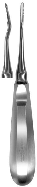 HSA 812-28, Wurzelheber