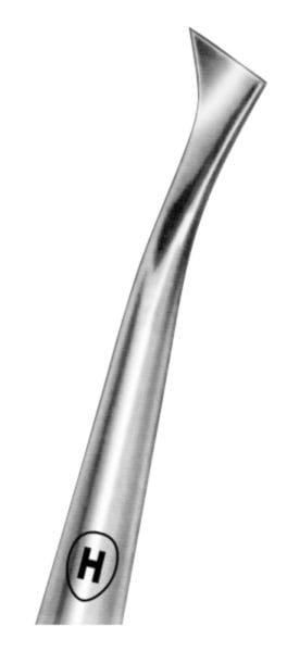HSA 686-12, Wurzelheber