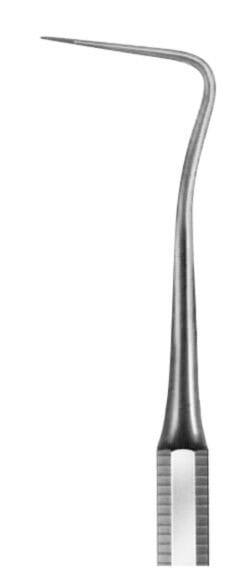 HSJ 029-08, Zahnsonde