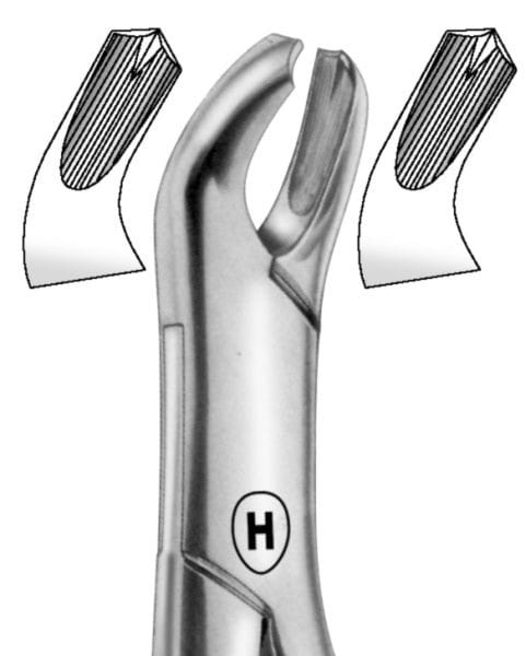 HSA 406-28, Zahnzange – Karl Hammacher, Extraktionszangen Oberkiefer