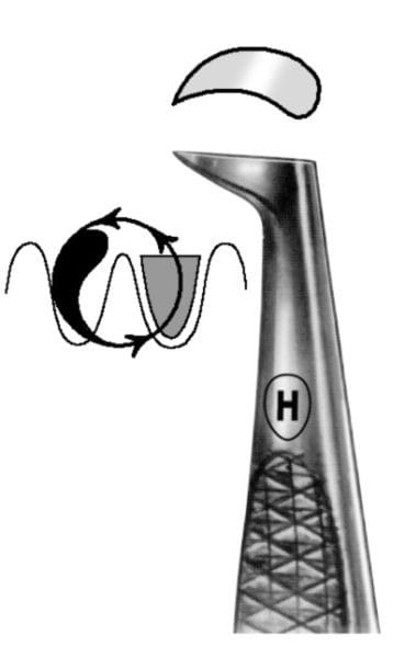 HSA 699-02, Septumschlitzer – Karl Hammacher, Wurzelheber