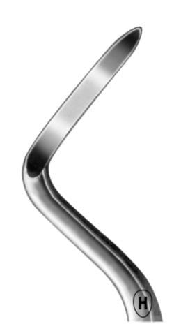 HSA 624-04, Wurzelheber – Karl Hammacher, Wurzelheber