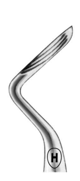 HSA 723-05, Wurzelheber