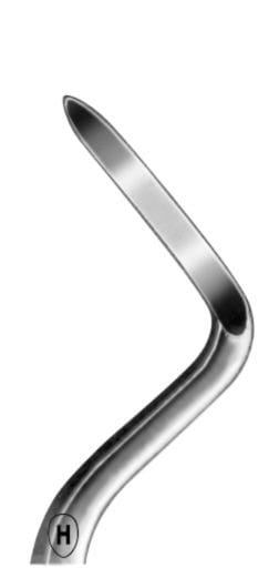 HSA 625-05, Wurzelheber – Karl Hammacher, Wurzelheber