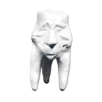 Zahnfigur Clement in Geschenkbox – ERNST HINRICHS Dental, Demomodelle