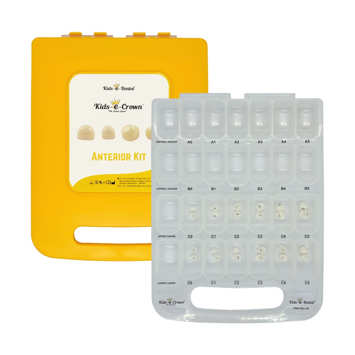 Canine Master Kit – Kids-e-Dental LLP, Provisorische Kronen
